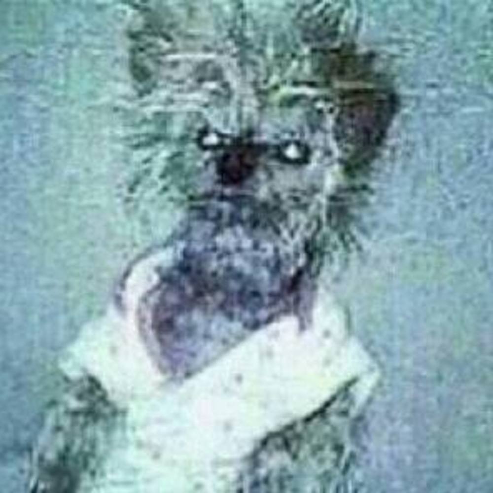 Meet your Posher, Chloe